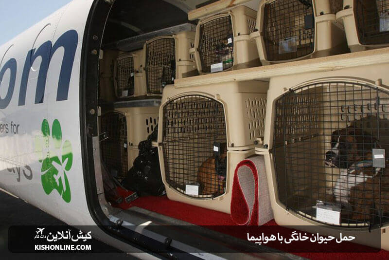 حمل حیوانات با هواپیما
